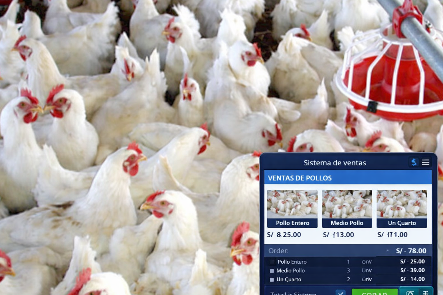 sistema de Venta de pollos